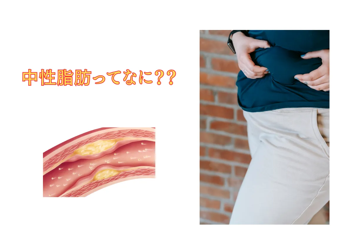 中性脂肪ってなに？？《京都・烏丸三条店、河原町今出川店》