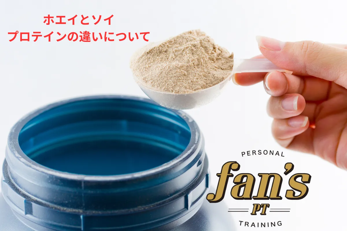 ホエイプロテインとソイプロテイン《京都・烏丸三条店、河原町今出川店》